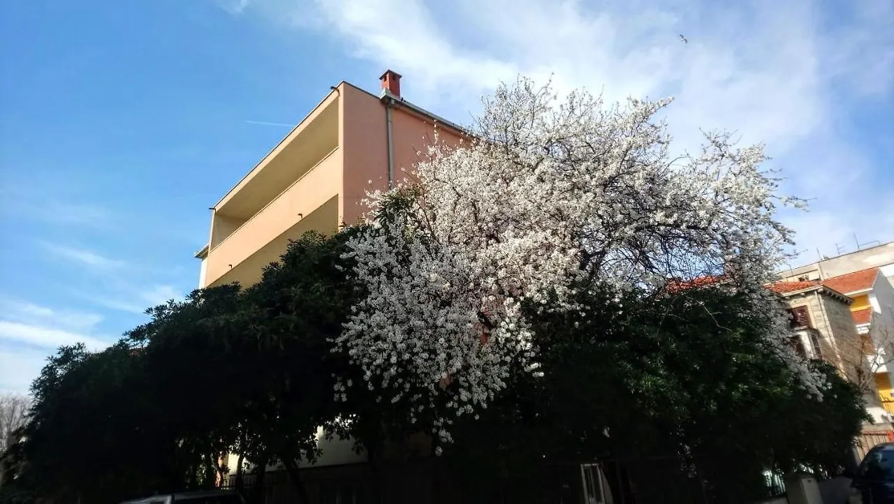 Split Symphony Veranda: Modern, New Apartment